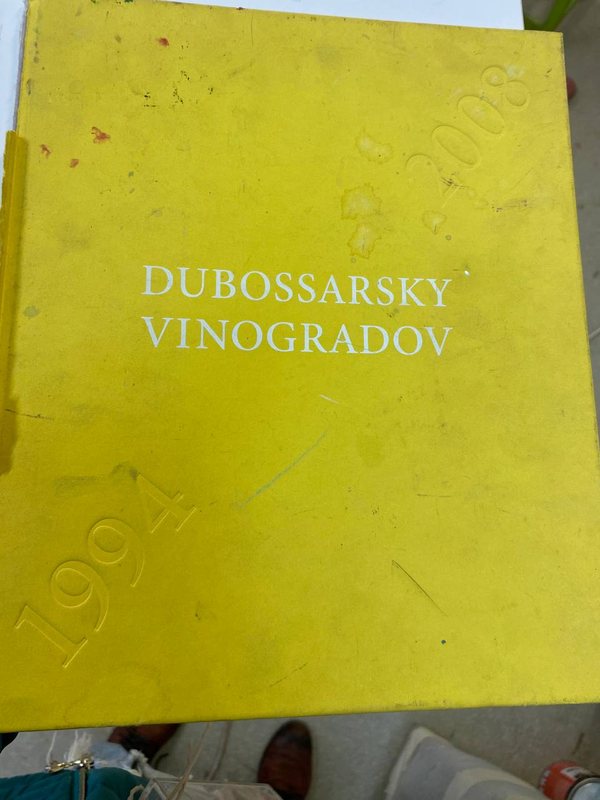 Обложка книги «Dubossarsky · Vinogradov. 1994—2008» — Альбом