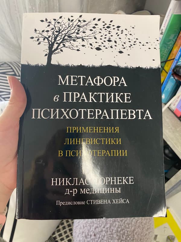 Обложка книги «Метафора в практике психотерапевта» — Никлас Торнеке