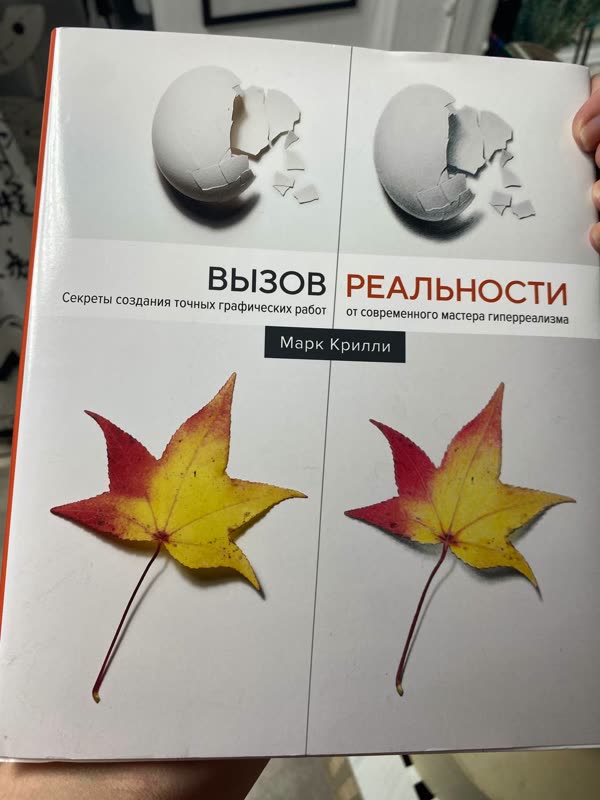 Обложка книги «Вызов реальности» — Марк Крилли